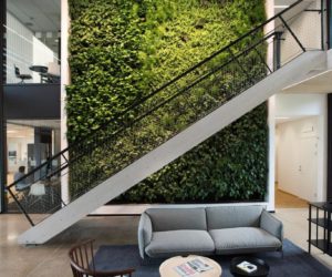 绿色墙壁-一个很酷的设计口音与个性的办公室
